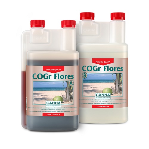 COGr Flores A+B 2x1L - floraison - CANNA