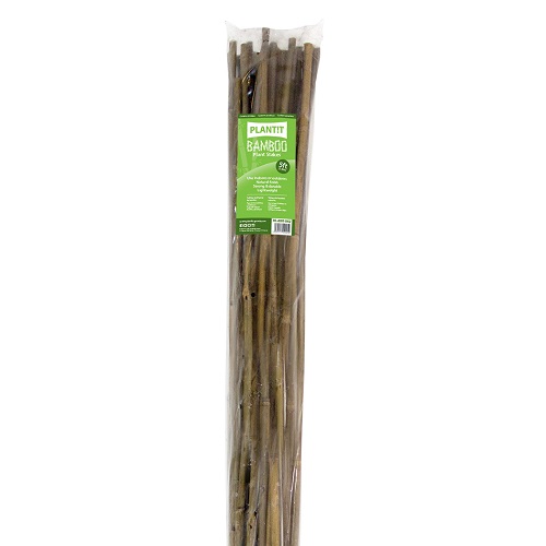 Tuteurs Bambou 150cm - Pack de 25