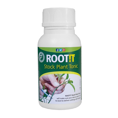 STOCK PLANT TONIC ROOT IT - tonique pour plantes mères