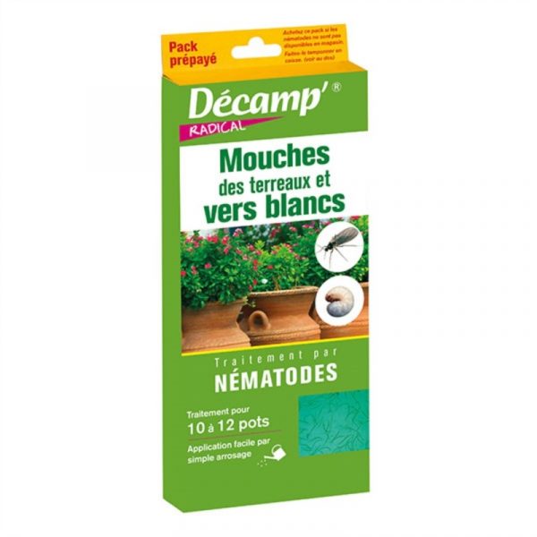 Nématodes - Mouches du terreau 250 millions nématode SF