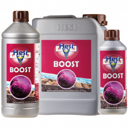 HESI BOOST