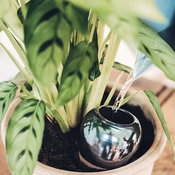 Olla aka OYA est la solution qui vous permet d'arroser vos plantes en toute tranquillité. Une solution parfaite pour un arrosage autonome.