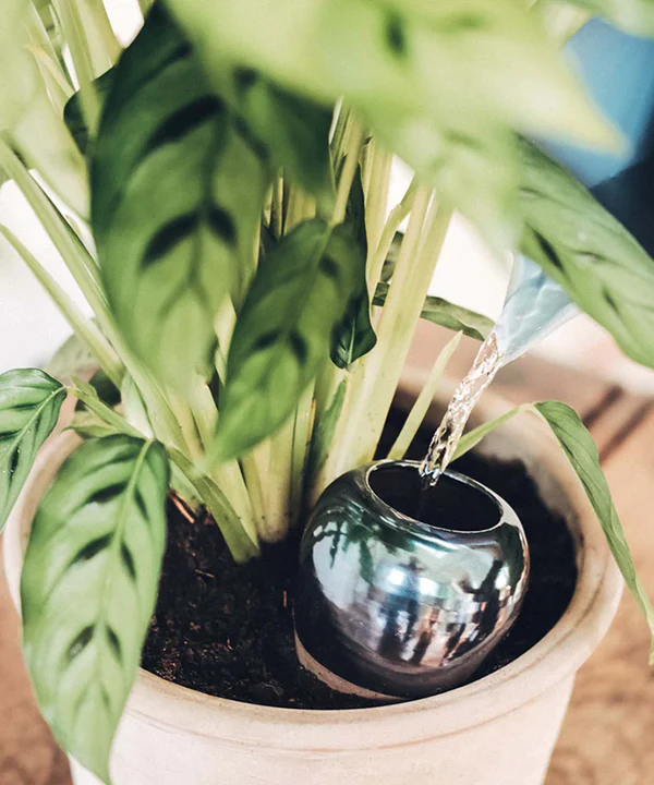 Olla aka OYA est la solution qui vous permet d'arroser vos plantes en toute tranquillité. Une solution parfaite pour un arrosage autonome.