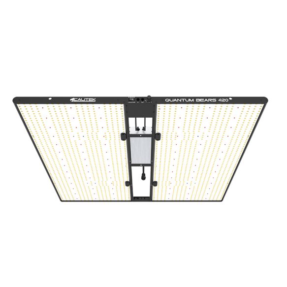 CALITEK QUANTUM BEARS 420W
