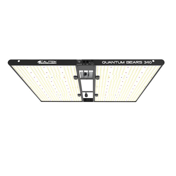 calitek quantum bears 340w