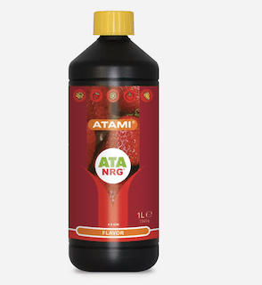 ATA NRG