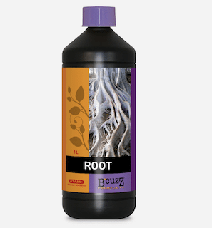 root