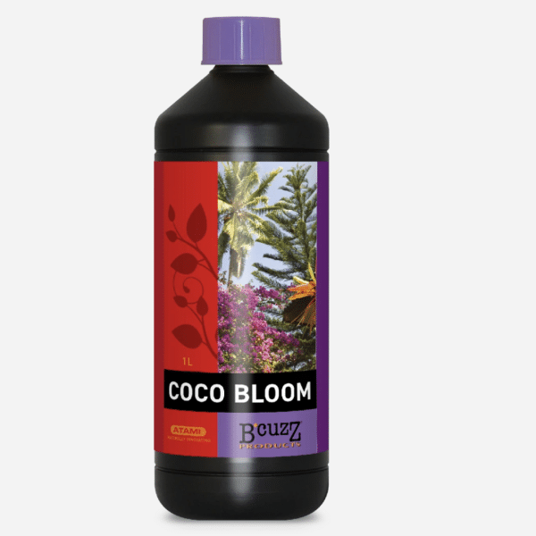 Coco Bloom