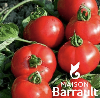 Tomate Fournaise