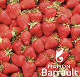 Fraisier gariguette
